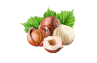 Hazelnut
